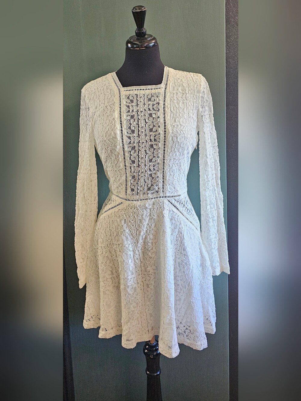 Tobi Lace Dress